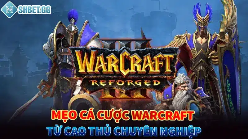 Mẹo chơi cá cược Warcraft đơn giản và dễ hiểu nhất 2023 4 Mẹo cá cược Warcraft từ cao thủ chuyên nghiệp