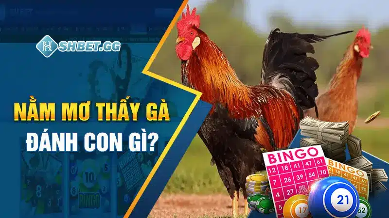 Điềm Báo Mơ Thấy Gà & Bộ Số Phong Thủy Đổi Mệnh 3 Mơ thấy gà đánh con gì?