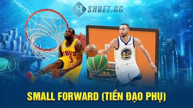 Một đội bóng rổ có bao nhiêu người và các vị trí cụ thể? 6 Small Forward (Tiền đạo phụ)